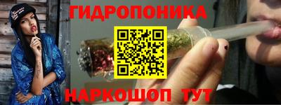 apvp Лесосибирск
