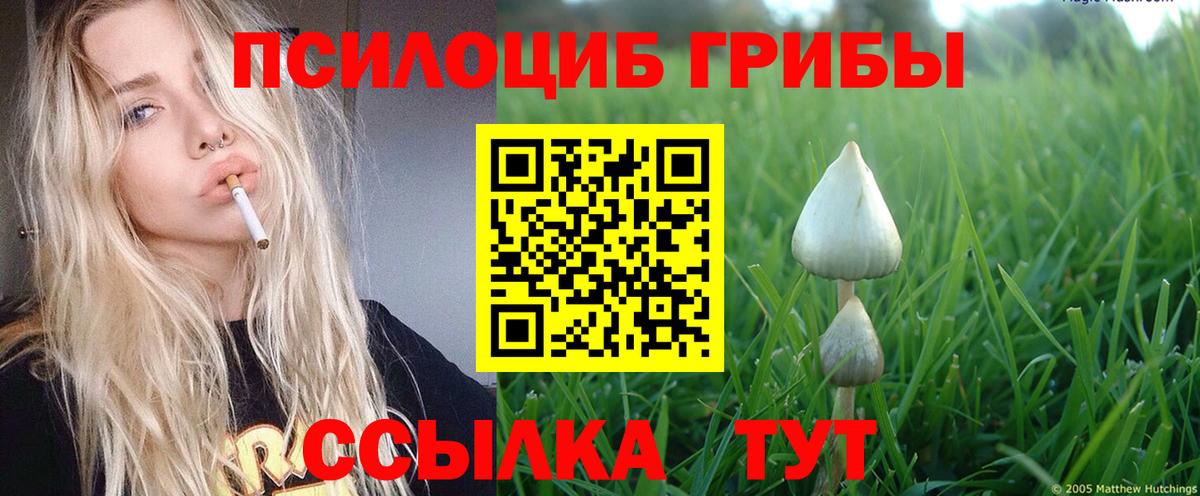 продажа наркотиков  Псилоцибиновые грибы Psilocybine cubensis  Биробиджан  Псилоцибиновые грибы Psilocybine cubensis 