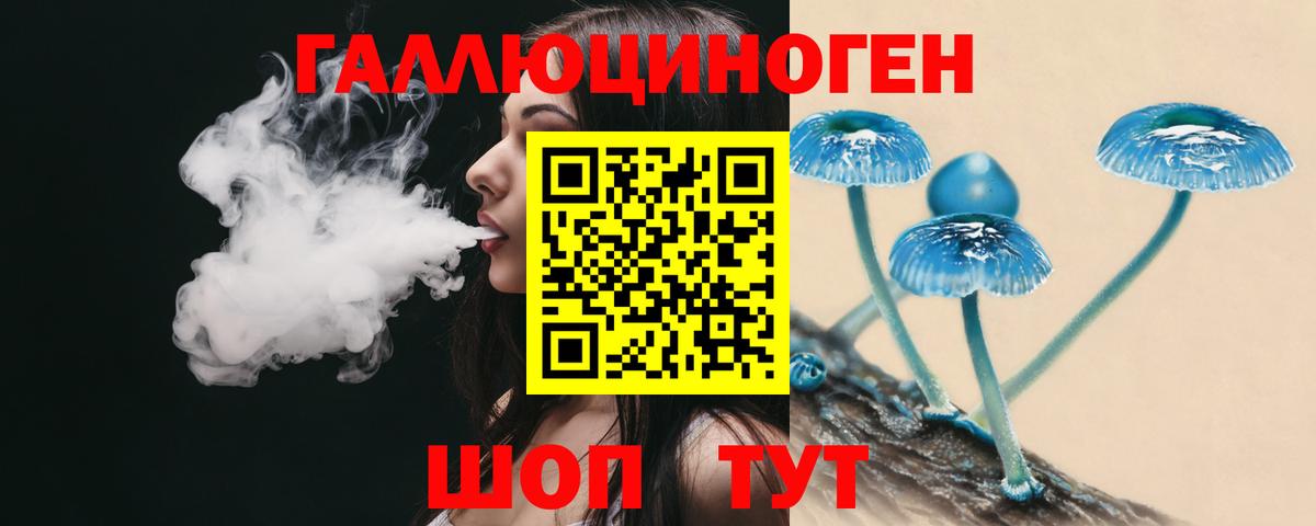 Биробиджан  Псилоцибиновые грибы Magic Shrooms  Псилоцибиновые грибы GOLDEN TEACHER  Вход с VPN 